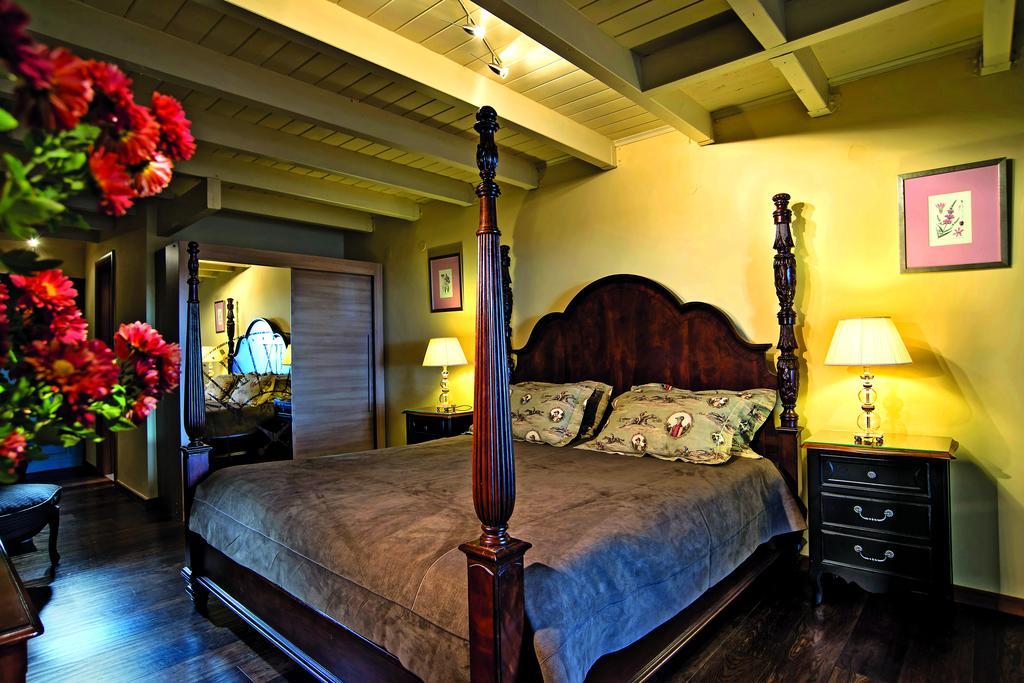 Hotel Aegli Arachova Pokoj fotografie